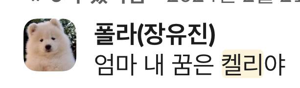 미리보기