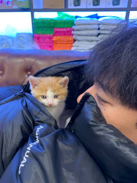 미리보기